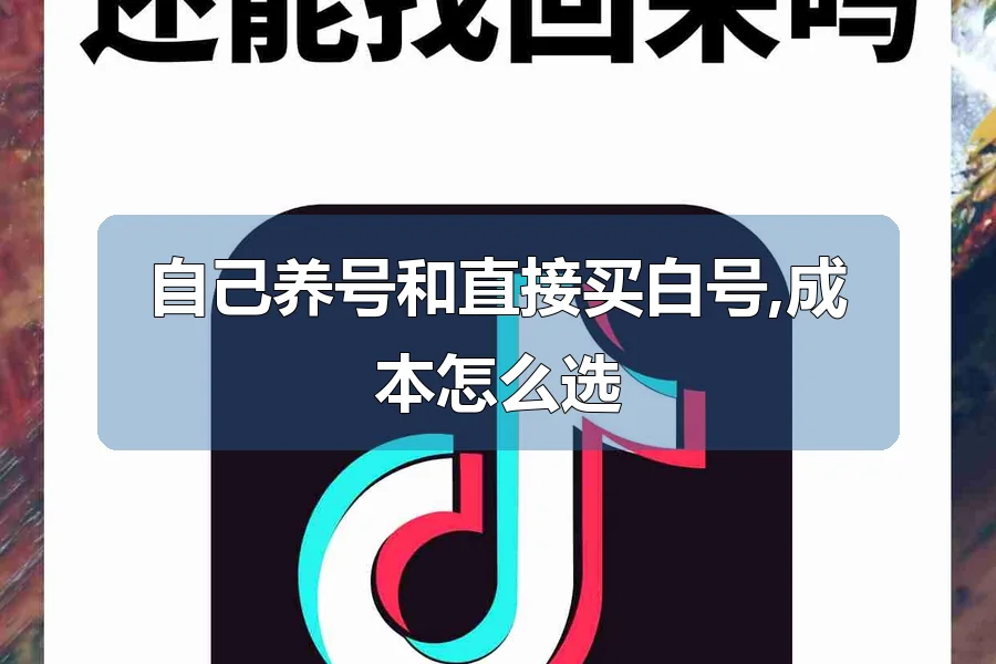 自己养号和直接买白号,成本怎么选