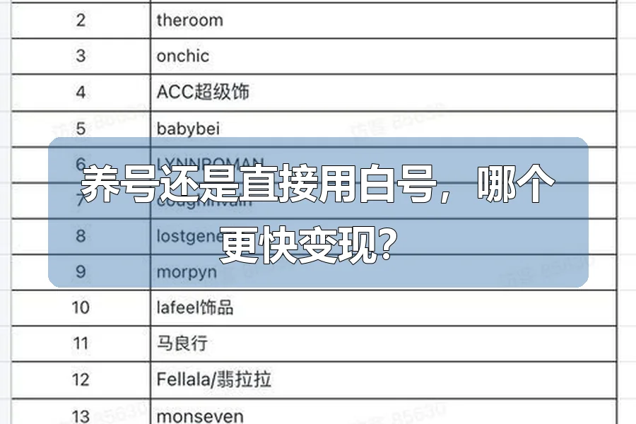 养号还是直接用白号,哪个更快变现?